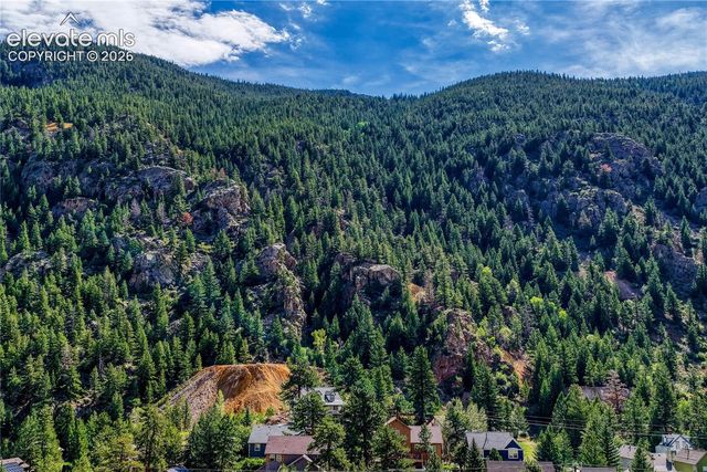 1114 Griffith Street, Georgetown, CO 80444