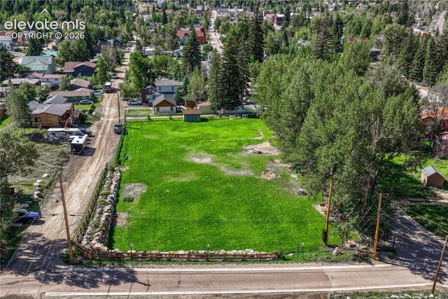 1114 Griffith Street, Georgetown, CO 80444