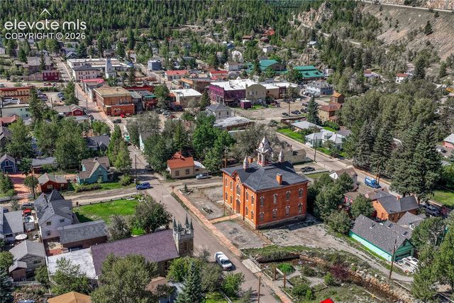 1114 Griffith Street, Georgetown, CO 80444