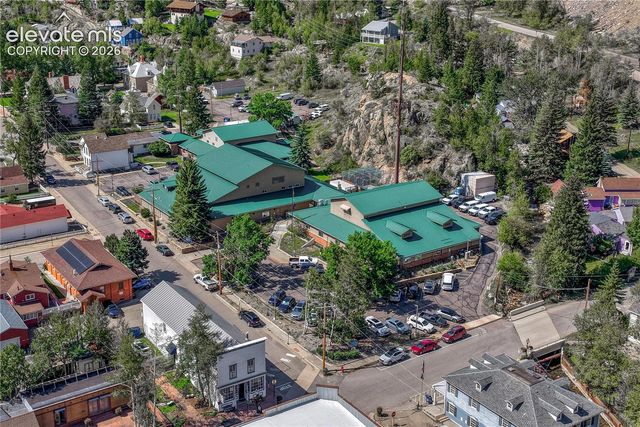 1114 Griffith Street, Georgetown, CO 80444