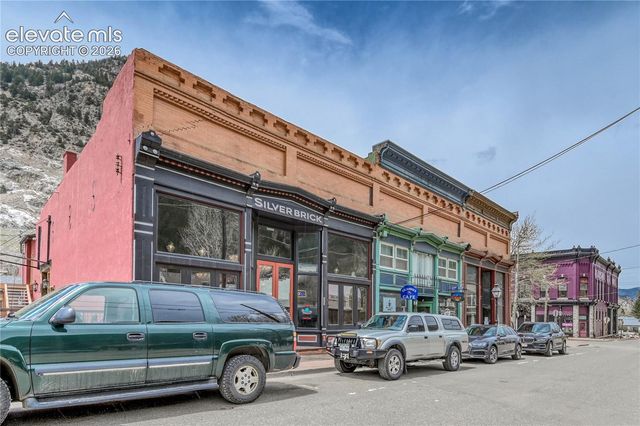 1114 Griffith Street, Georgetown, CO 80444