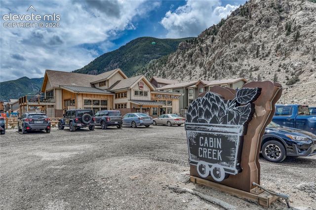 1114 Griffith Street, Georgetown, CO 80444