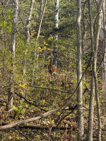 tbd County 26, Houston, MN 55943