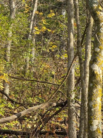 tbd County 26, Houston, MN 55943