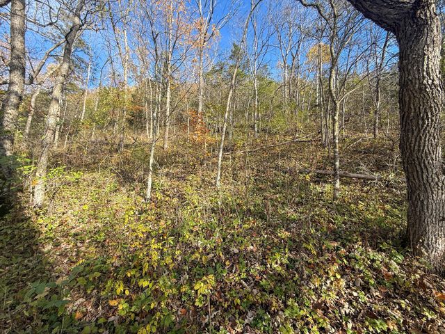 tbd County 26, Houston, MN 55943