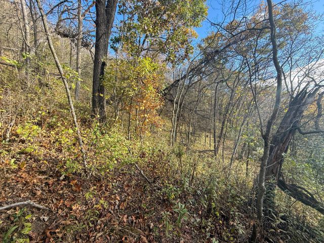 tbd County 26, Houston, MN 55943