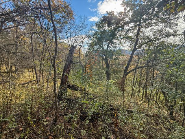 tbd County 26, Houston, MN 55943