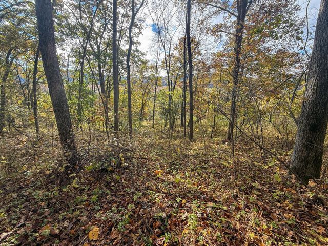 tbd County 26, Houston, MN 55943