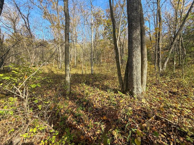 tbd County 26, Houston, MN 55943