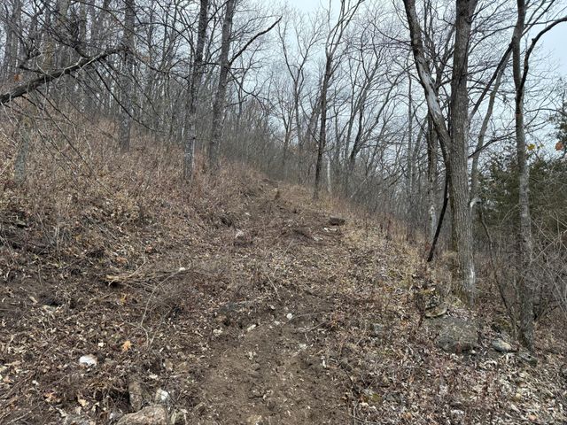 tbd County 26, Houston, MN 55943