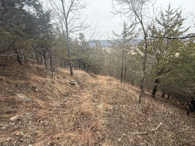 tbd County 26, Houston, MN 55943