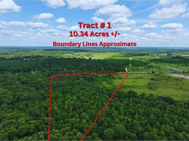 TBD N Farm To Market Rd 770 Tract 1 Road, Liberty, TX 77575