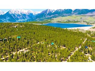 56 Lodgepole Dr, Twin Lakes, CO 80461