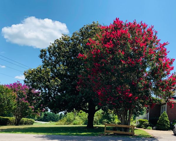 1818 Burnt Chimney RD, Wirtz, VA 24184