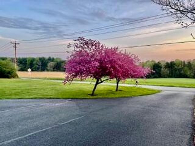 1818 Burnt Chimney RD, Wirtz, VA 24184