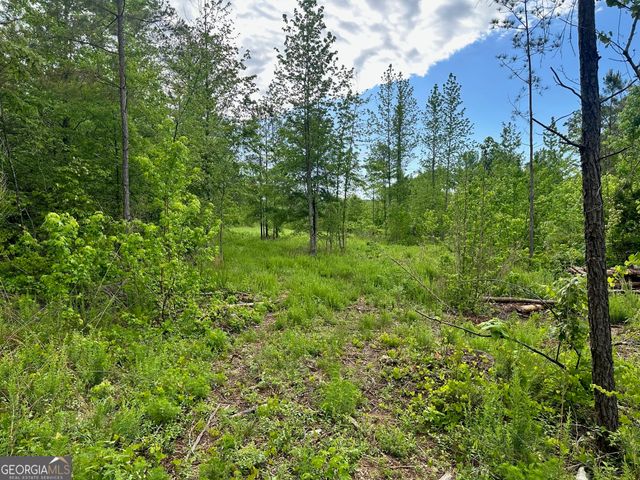 0 Satcher Road #1, Taylorsville, GA 30178