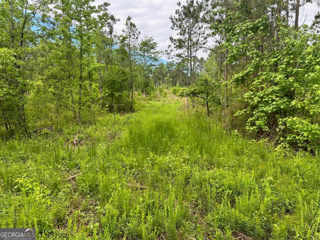 0 Satcher Road #1, Taylorsville, GA 30178