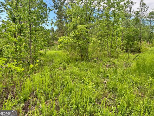 0 Satcher Road #1, Taylorsville, GA 30178