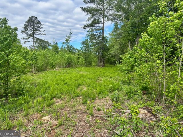 0 Satcher Road #1, Taylorsville, GA 30178