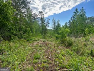 0 Satcher Road #1, Taylorsville, GA 30178