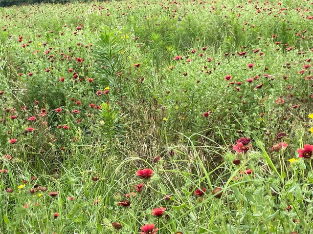 6086 Fm 1511, Centerville, TX 75833