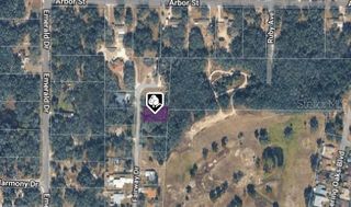 6176 FAIRWAY DRIVE, Ridge Manor, FL 33523