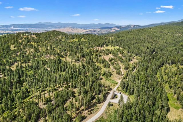 NKA E Belmont Rd, Mica, WA 99023