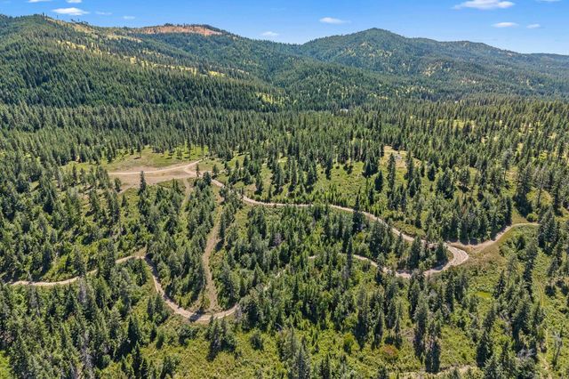 NKA E Belmont Rd, Mica, WA 99023