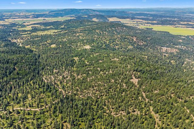 NKA E Belmont Rd, Mica, WA 99023
