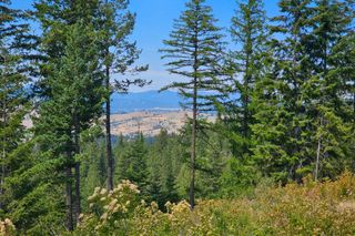 NKA E Belmont Rd, Mica, WA 99023