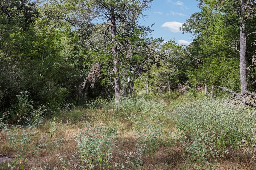 4141 Fm 60 W, Somerville, TX 77879 — photo 3