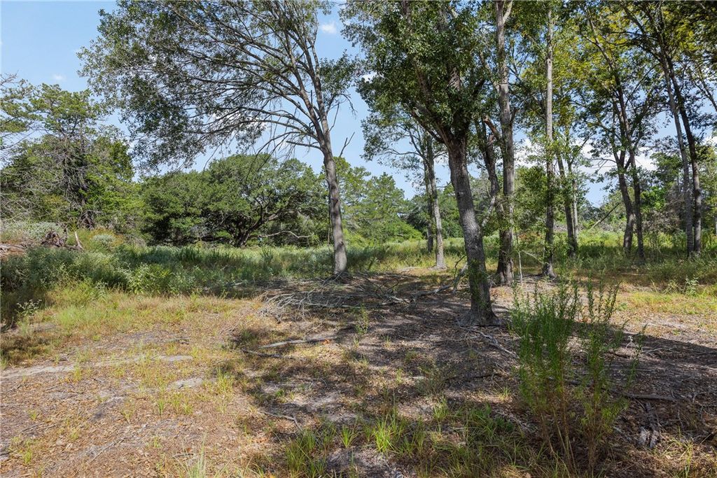 4141 Fm 60 W, Somerville, TX 77879 — photo 4