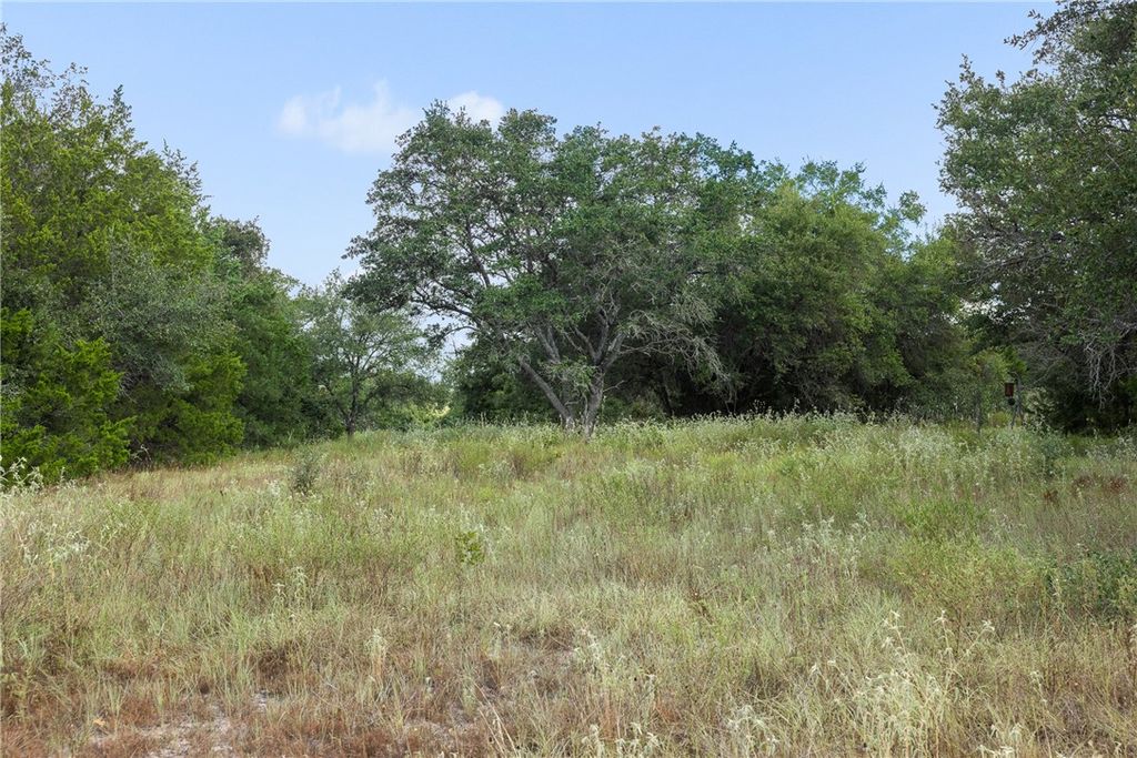 4141 Fm 60 W, Somerville, TX 77879 — photo 5