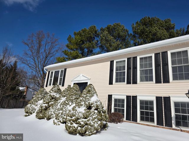 10217 MCKEAN CT, Great Falls, VA 22066