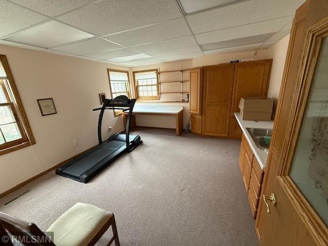 13019 296th Avenue NW, Baldwin Twp, MN 55371