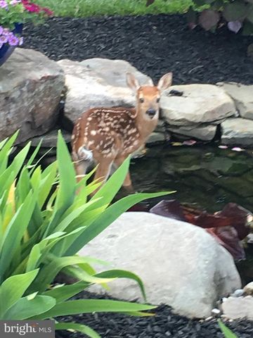 3919 W CHAPEL RD, Aberdeen, MD 21001