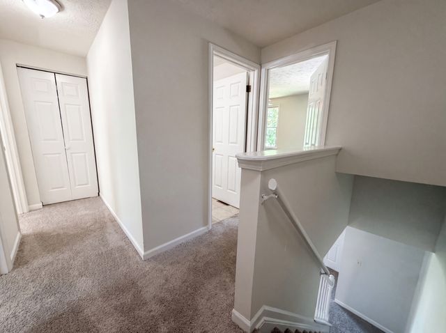 207 Seneca Forest Ct, Nashville, TN 37217