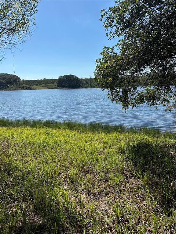 SALTSDALE ROAD, Umatilla, FL 32784