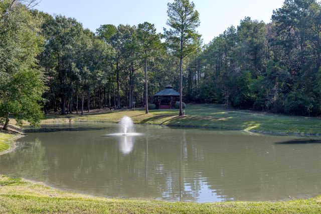 1001 Westridge Park, Livingston, TX 77351