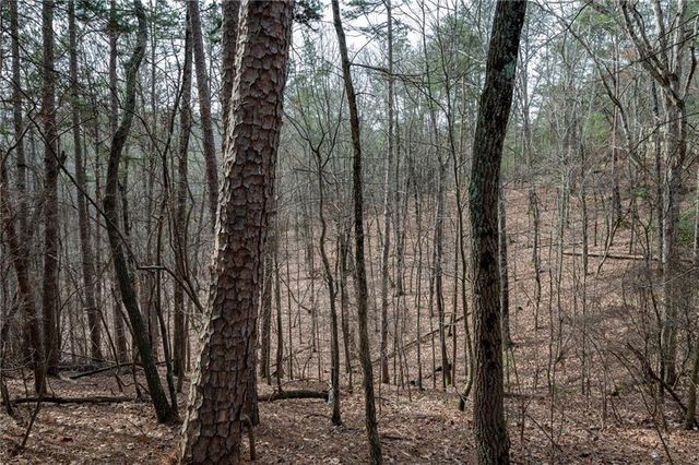 00 Red Top Mountain Road, Cartersville, GA 30121