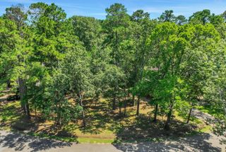 90 N Royale Greens Drive, Coldspring, TX 77331