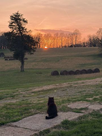 4243 Beech Log Rd, Lebanon, TN 37090