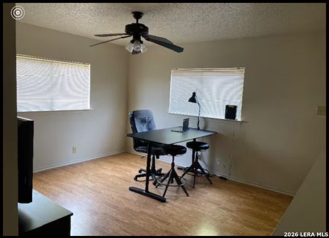 8962 Branding, San Antonio, TX 78240