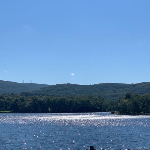 18 Alphonsa Court, Salisbury Mills, NY 12577