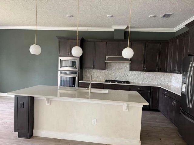 10732 PAHOKEE BEACH PLACE, Orlando, FL 32827