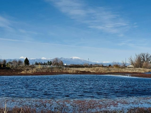 22148 Lone Tree Road, Anderson, CA 96007