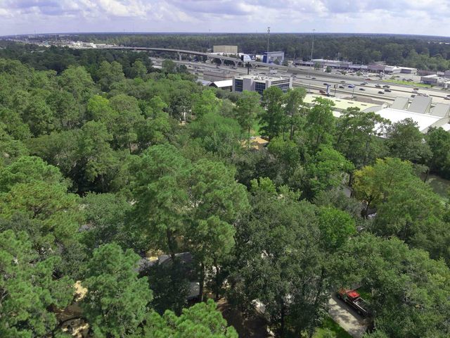 2 Rolling Mill Lane, The Woodlands, TX 77380