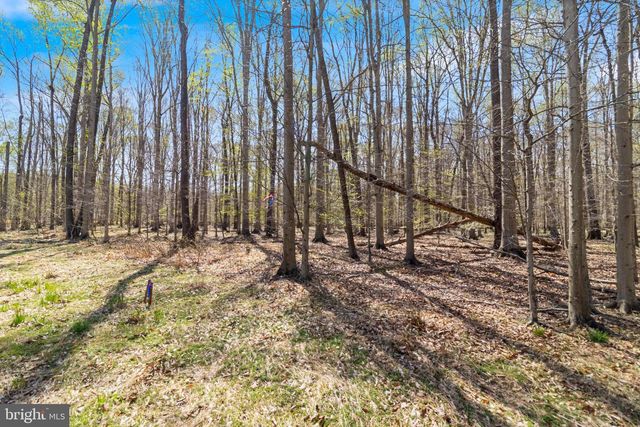 LOT 14 BILLINGSLEY RD, White Plains, MD 20695