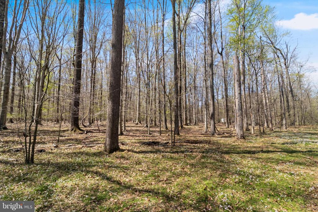 LOT 14 BILLINGSLEY RD, White Plains, MD 20695