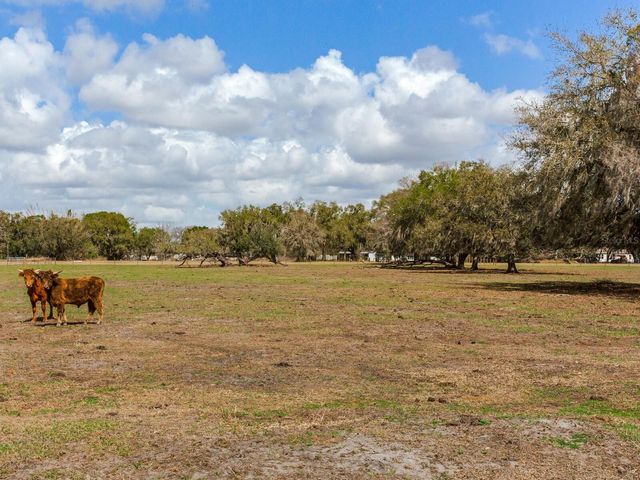 0 S CR 39, Lithia, FL 33547